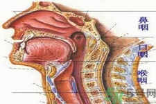 鼻咽癌的治療方法是什么？鼻咽癌可以用什么藥物治療？