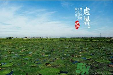 處暑吃什么水果？處暑養(yǎng)生水果推薦
