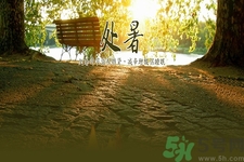 處暑為什么要吃鴨？處暑吃鴨的好處有哪些？
