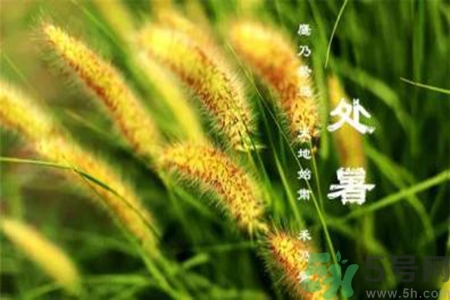 處暑出生的人怎么取名？處暑出生的人的命運？
