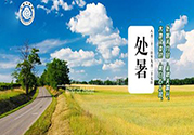 處暑出生的人怎么取名？處暑出生的人的命運？