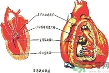 先天性心臟病可以用藥物治療嗎？