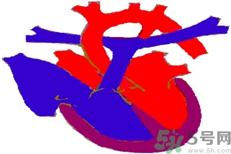 心臟病是怎么形成的？易發(fā)人群有哪些？