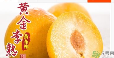 恐龍蛋水果怎么吃？恐龍蛋水果皮能吃嗎？