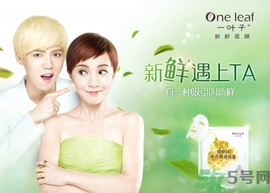一葉子面膜怎么樣？一葉子明星產(chǎn)品