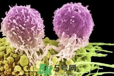 不宜過多食用辣椒的人群有哪些？夏天吃辣椒的好處有哪些？