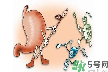 哪些食物幫你在酒后保養(yǎng)胃部？養(yǎng)胃護(hù)胃的誤區(qū)是什么？