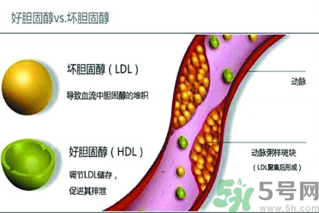 膽固醇高會引發(fā)什么疾病嗎？如何控制高膽固醇？