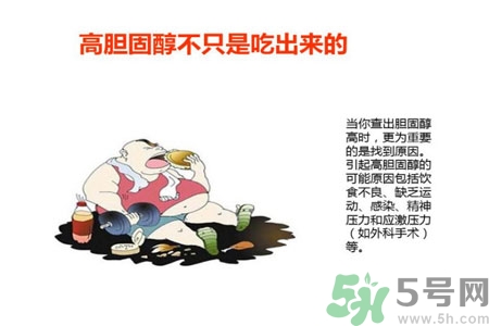 高膽固醇會影響胖瘦嗎？高膽固醇和胖瘦有關(guān)系嗎？