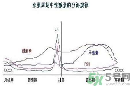 如何分清常見的激素藥？如何正確使用激素類藥物？
