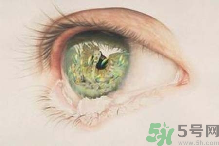 睡覺時(shí)流眼淚是怎么回事？如何保護(hù)眼睛？