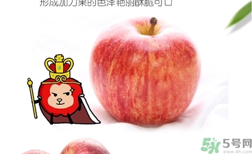 姬娜果是什么？姬娜果的功效作用