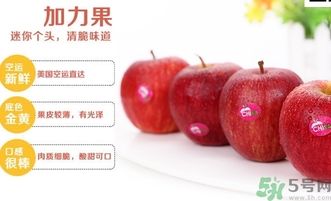 姬娜果是什么？姬娜果的功效作用