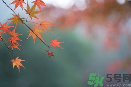 秋老虎如何謹防皮膚病？秋老虎如何預防皮膚病？