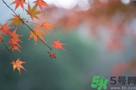秋天換季病有哪些？秋天該如何保健養(yǎng)生呢？