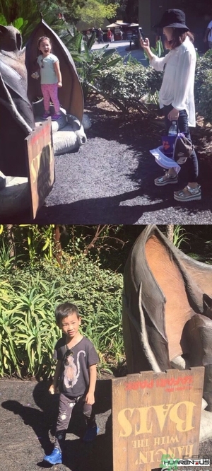 王寶強老婆馬蓉在美國嗎？婚姻中攜款逃跑受什么處罰？