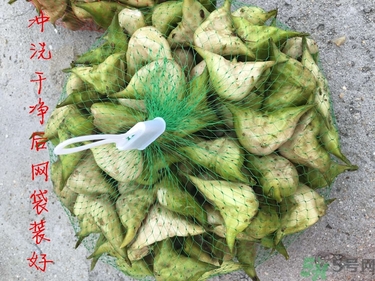 菱角和豬肉能一起吃嗎？菱角和什么不能一起吃？