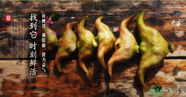 菱角和豬肉能一起吃嗎？菱角和什么不能一起吃？