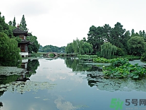 菱角是什么？菱角是什么季節(jié)成熟的？