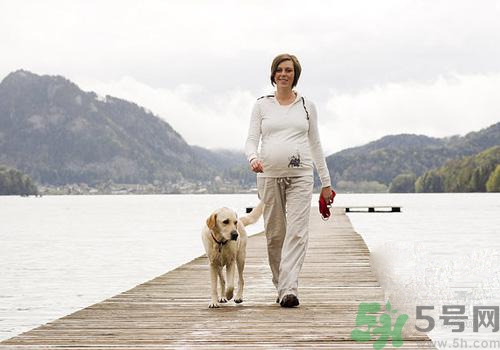 孕婦可以和狗狗在一起嗎？孕婦和狗狗接觸好不好？