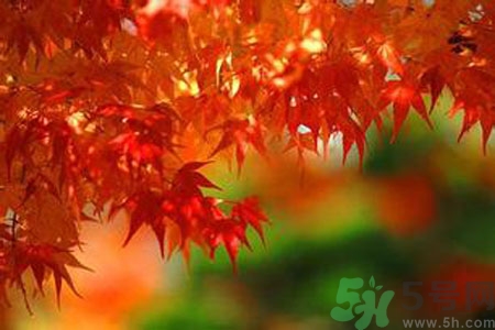 秋燥的表現(xiàn)是什么？小孩如何預(yù)防秋燥？