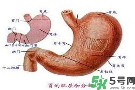 急性腸胃炎哪些食物不可以吃？急性腸胃炎不能吃的水果有？