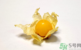 姑娘果的營(yíng)養(yǎng)價(jià)值有哪些？姑娘果的功效與作用