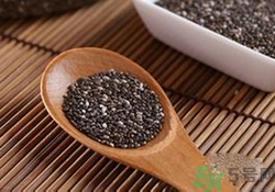 奇亞籽是什么？奇亞籽的功效作用