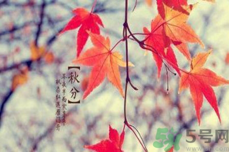 秋燥是什么？秋燥怎么辦？