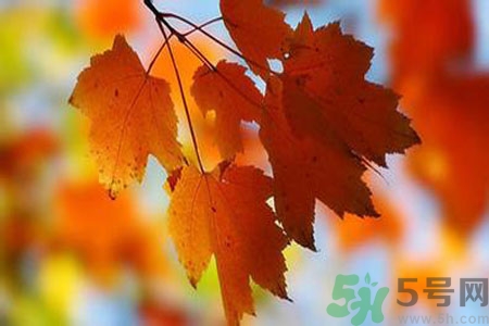 秋燥是什么？秋燥怎么辦？