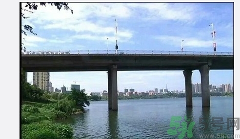 從多高的地方跳水會受傷？從多高的地方跳水會死亡？
