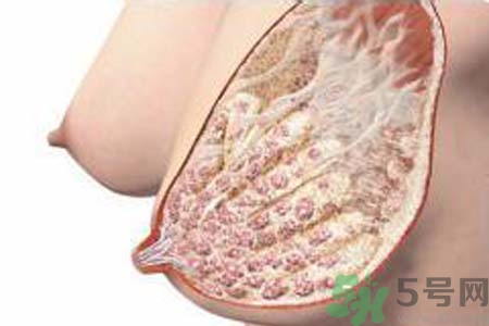 乳腺增生可以懷孕嗎？如何預(yù)防乳腺增生？