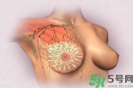 乳頭發(fā)黑怎么辦？怎么樣可以使乳頭變白？