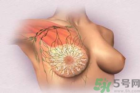 乳頭發(fā)黑是怎么回事？乳頭發(fā)黑是什么原因？