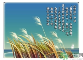 白露茶是什么茶？白露為什么要喝白露茶？