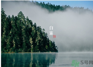 白露喝什么茶？白露養(yǎng)生茶飲推薦