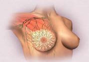 乳頭發(fā)黑是怎么回事？乳頭發(fā)黑是什么原因？