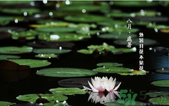 處暑如何養(yǎng)生？處暑養(yǎng)生要注意什么？