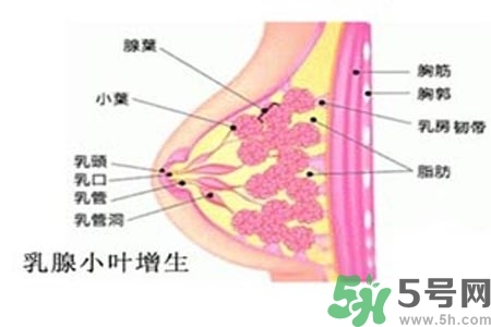 乳房上有硬塊怎么辦？乳房有硬塊的病因是什么？