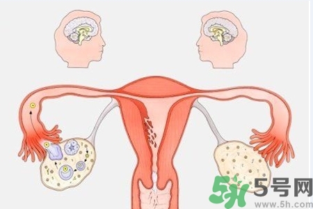 陰道出血和什么有關(guān)？陰道出血的應急措施有哪些？
