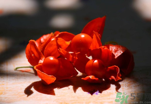 紅姑娘怎么吃？紅姑娘怎么保存？
