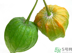紅姑娘吃多了會(huì)怎樣？吃野生紅姑娘的好處和壞處