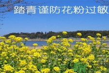 花粉過(guò)敏的表現(xiàn)是什么？如何有效的預(yù)防花粉過(guò)敏？