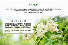 洋槐蜜的鑒別方法是什么？洋槐蜜多少錢一斤？