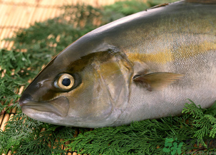 魚眼睛可以吃嗎？吃魚眼睛有什么好處？