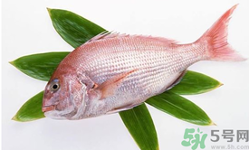 吃魚眼睛對眼睛有好處嗎？吃什么魚對眼睛好？