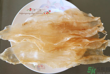 魚膠是什么？魚膠的功效與作用？