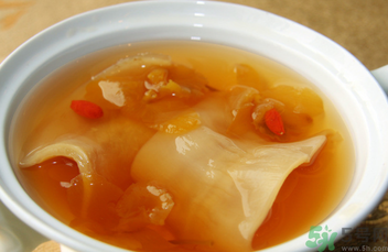 魚膠怎么燉不腥？魚膠的燉法推薦