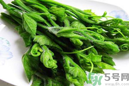 南瓜藤的功效作用有哪些？南瓜藤的食用價(jià)值是什么？