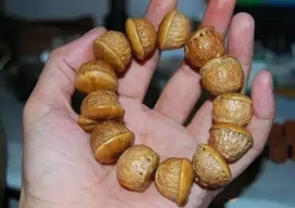 壯陽果怎么泡酒？ 壯陽果泡酒的功效與作用